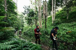 BIB: 
                            <button type="button" onclick="openModal(26409662)" class="btn btn-primary btn-sm float-right btn-popup" data-toggle="modal" data-target=".modal-high-quality">
                        <i class="fas fa-shopping-cart"></i> Add to Cart
                    </button>
                                            <button type="button" onclick="isThisMe(26409662, true)" class="btn btn-success btn-sm float-right btn-popup btn-isme hidden" data-toggle="tooltip" data-placement="bottom" title="นี่คือรูปของคุณใช่ไหม คลิกที่นี่เพื่อเอาเข้าอัลบั้ม">
                        <i class="fas fa-plus"></i> Add to album
                    </button>
                    <button type="button" onclick="isThisMe(26409662, false)" class="btn btn-warning btn-sm float-right btn-popup btn-isnotme hidden">
                        <i class="fas fa-ban"></i> Remove from album
                    </button>